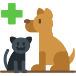 Pet Care